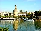 torre del oro y rio guadalquivir.jpg